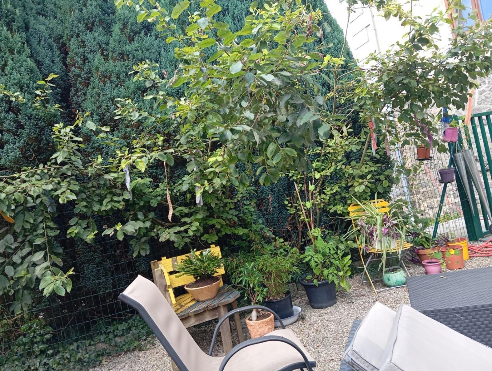 Au Pied Du Gazon Apartment Saint-Maurice-sur-Moselle Exterior photo